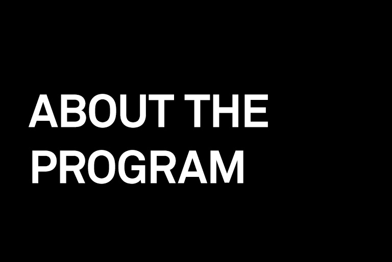 About the Program