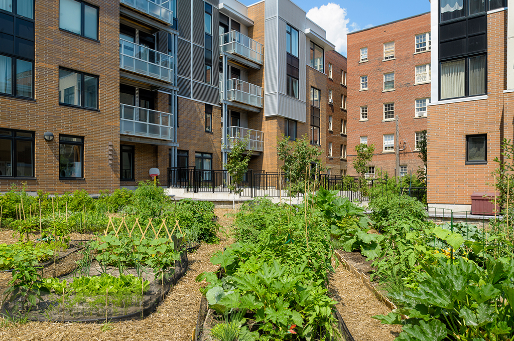 A community garden anchors the development. Photo by Doublespace courtesy of Hobin Architecture