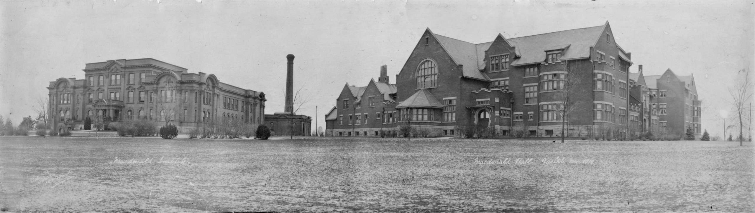 Panorama of two mid-rise buildings with brick and stone cladding in a large field. A few young trees are scattered throughout.