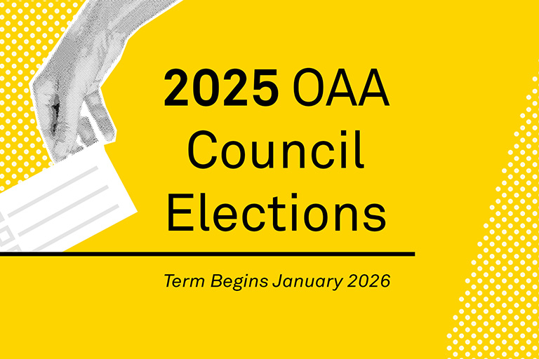 2025 Council Elections banner